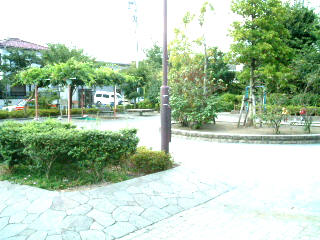 写真6