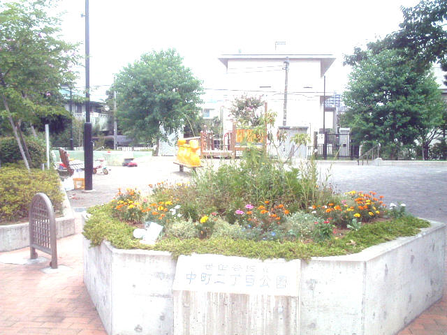 写真1