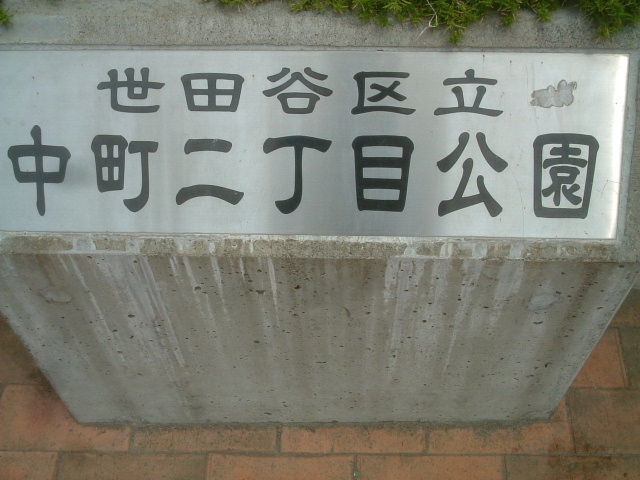 写真6