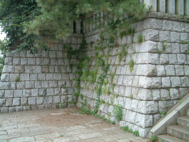 写真4