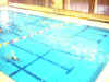 swiming_03.JPG (51041 oCg)