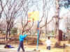 street_basket_07.JPG (71812 oCg)