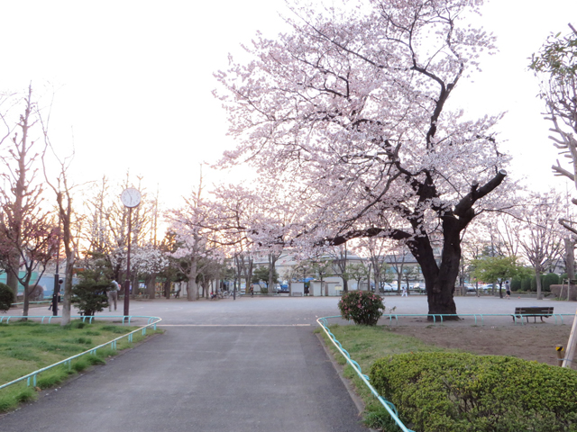 玉川野毛町公園