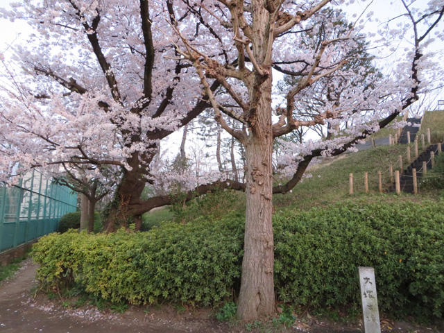 玉川野毛町公園