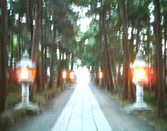 写真2