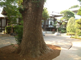 写真5