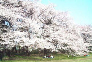 写真2