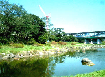 写真1
