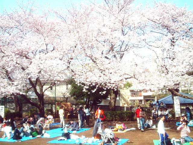 写真1
