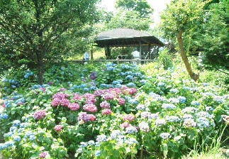 写真2