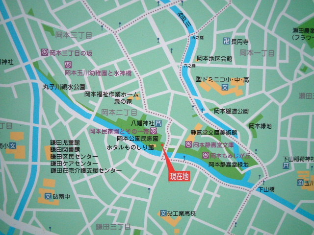 写真3