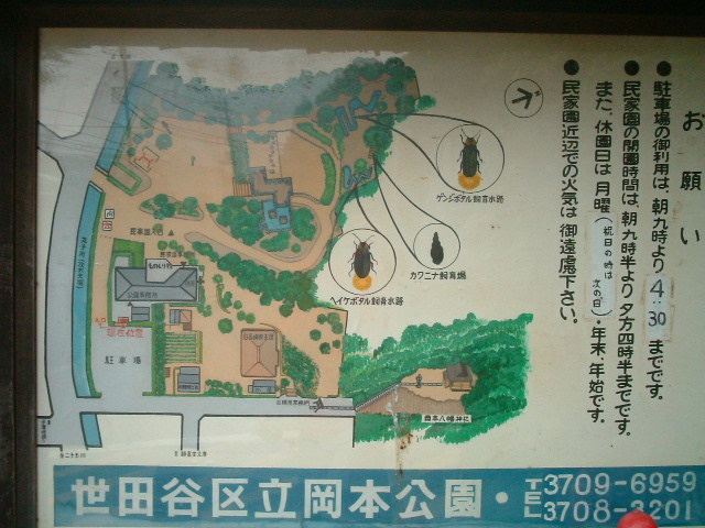 写真4