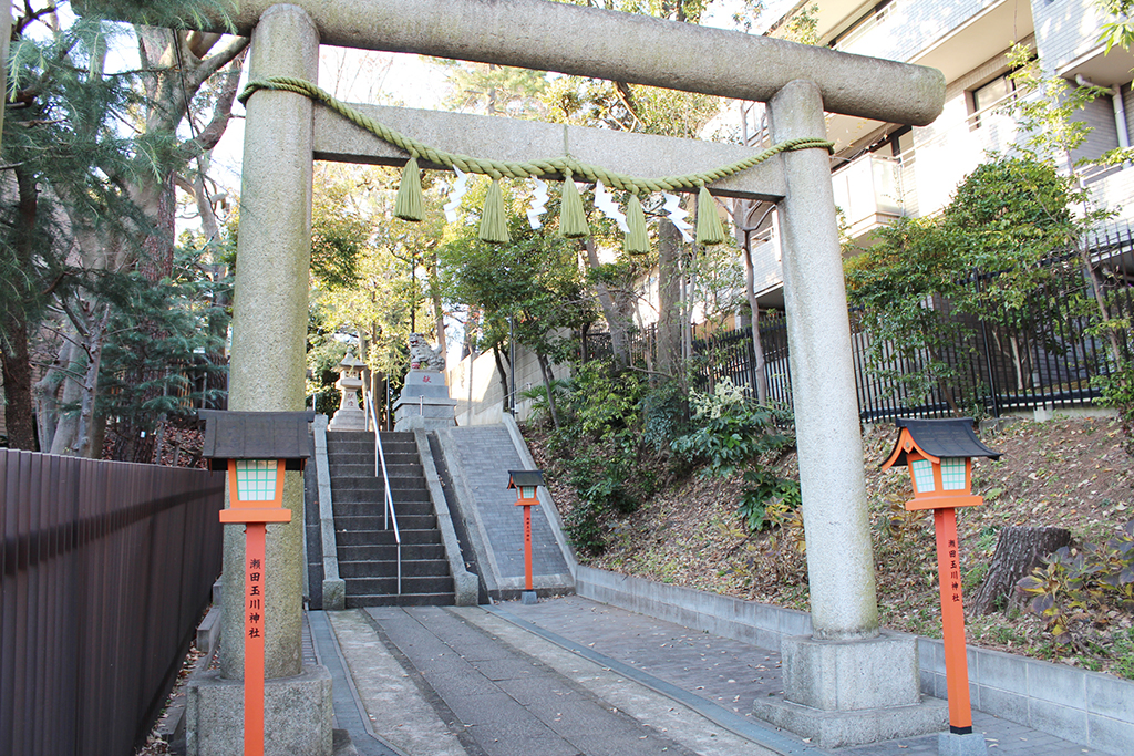 写真7
